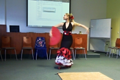 Flamenco_3