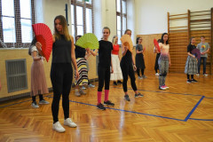 opava2